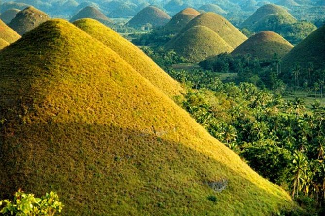 Chocolate hills tour with Tarsier & Loboc river Buffet Lunch (half-day tour) - Chocolate Hills viewpoint and the steep climb