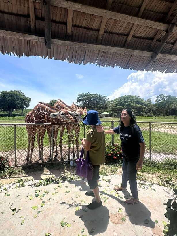 Coron: Calauit Safari Black Island Lunch & Transfer included - Guide quality and group size