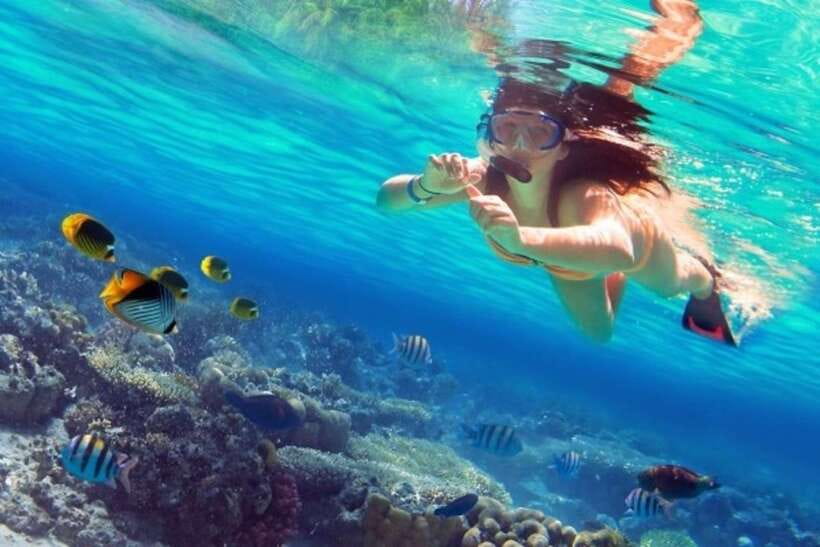 Coron: Coastal Cliffs, Beach & Malcapuya Island Hopping Tour - Malcapuya Island is the beach highlight