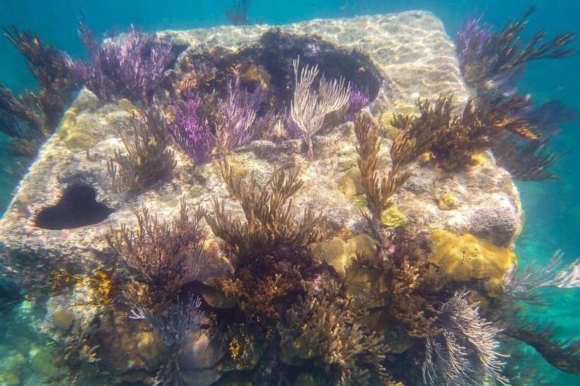 Coron: Coastal Cliffs, Beach & Malcapuya Island Hopping Tour - What to bring for a more comfortable day
