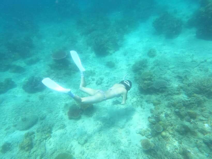 Coron: Dugong Watching with Sea Turtle and Coral Garden tour - Why the dugong encounter is worth the long ride