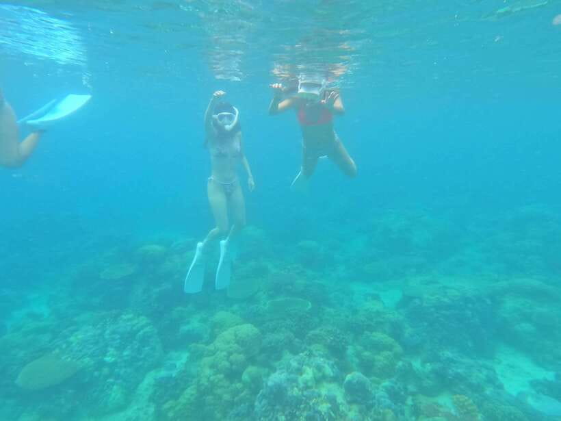 Coron: Dugong Watching with Sea Turtle and Coral Garden tour - The boat ride to Busuanga’s dugong area