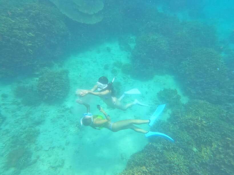 Coron: Dugong Watching with Sea Turtle and Coral Garden tour - Snorkeling with the dugong