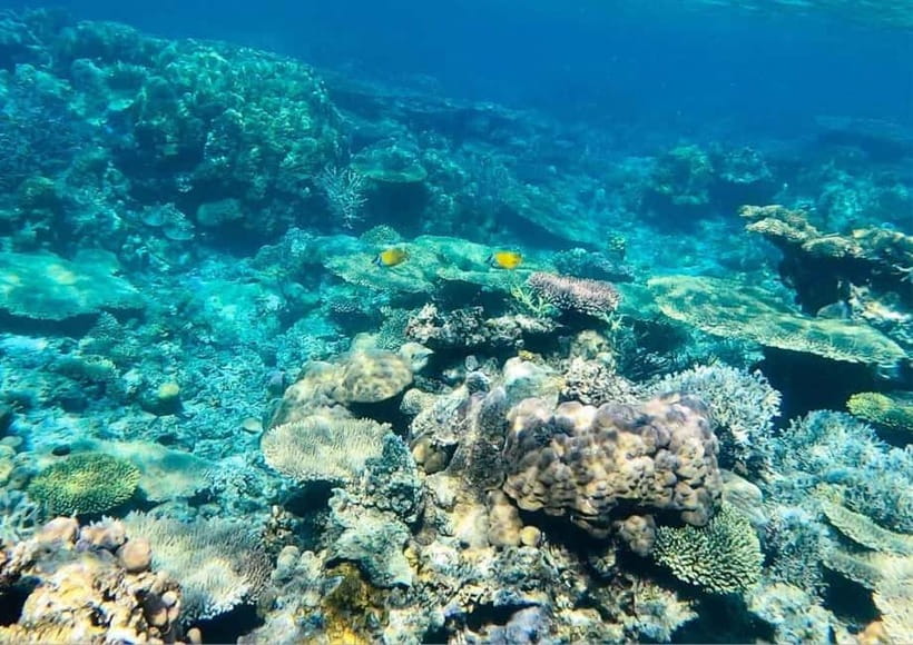 Coron: Island Tour B - Smith Beach combines lunch and downtime