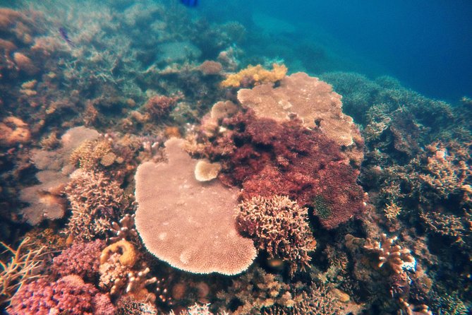 Coron Island Tour B (Shared Tour) - What Coron Island Tour B is really like