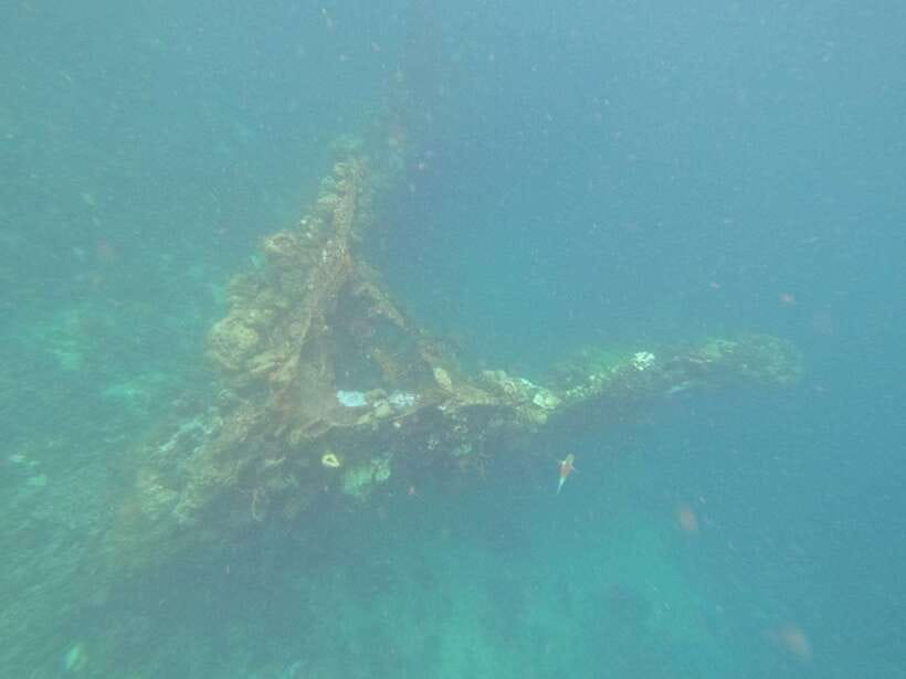 Coron: Kayangan Lake, Twin Lagoon, and Siete Pecados Tour - Skeleton Wreck and what may change