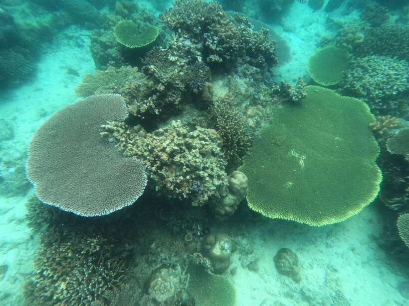 Coron: Kayangan Lake, Twin Lagoon, and Siete Pecados Tour - CYC Beach for a final swim