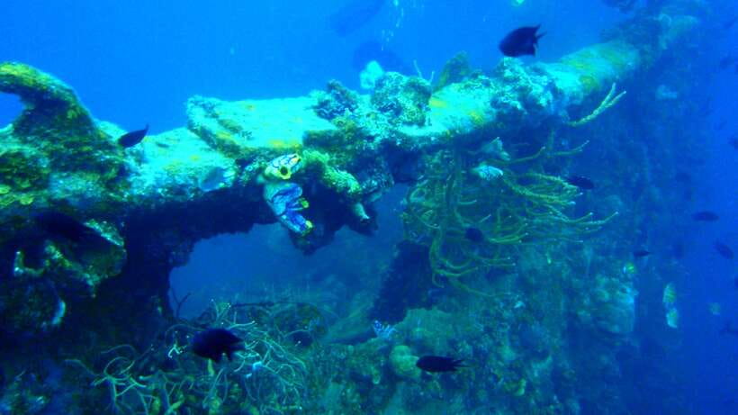 Coron Private Tour D: Reef and Wrecks - Key points at a glance
