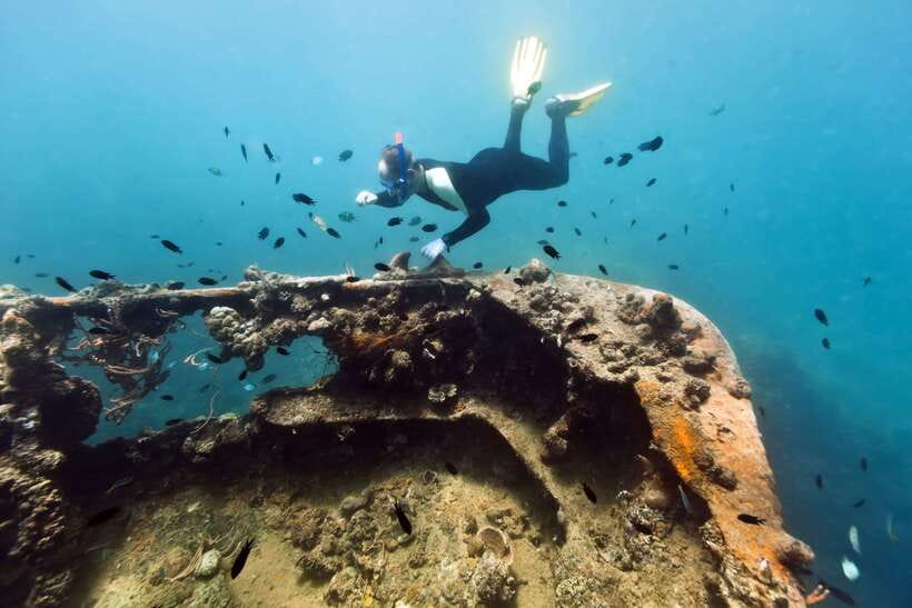 Coron Private Tour D: Reef and Wrecks - East Tangat Wreck and its shallow-water appeal