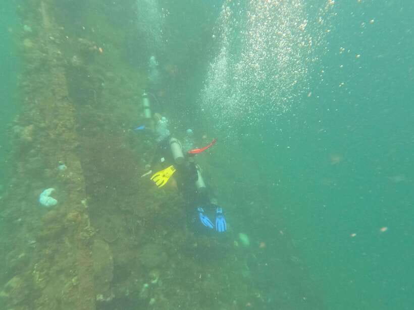 CORON:REEF AND WRECK - 2 JAPANESE WRECK AND PASS ISLAND TOUR - Lusong Gunboat Wreck: a shallow window into wartime
