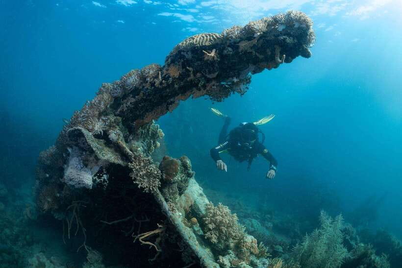 Coron Reef and Wrecks Tour (Private Tour) - Why these wrecks make a good Coron day