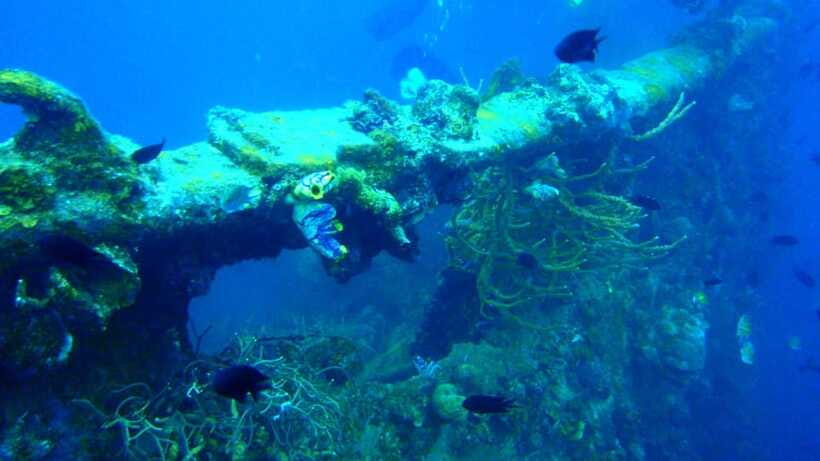 Coron Reef and Wrecks Tour (Private Tour) - East Tangat is the easiest wreck for beginners