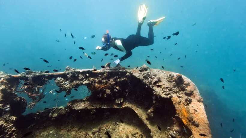 Coron Reef and Wrecks Tour (Private Tour) - Who should book this Coron tour?