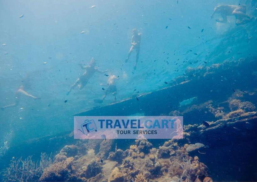Coron Reef & Wrecks Tour - Key points at a glance