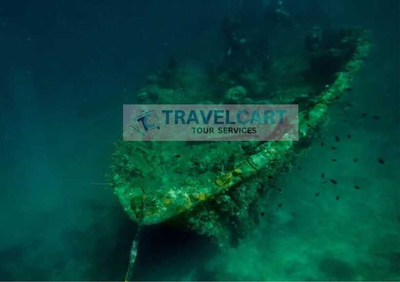 Coron Reef & Wrecks Tour - Lusong Gunboat combines history with sea life