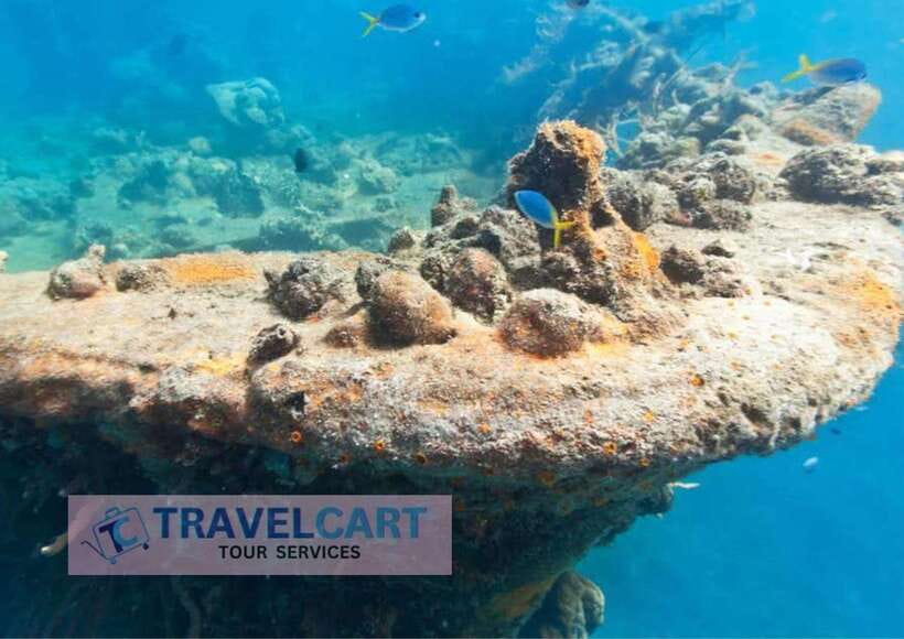Coron Reef & Wrecks Tour - The morning pickup and ride to the water
