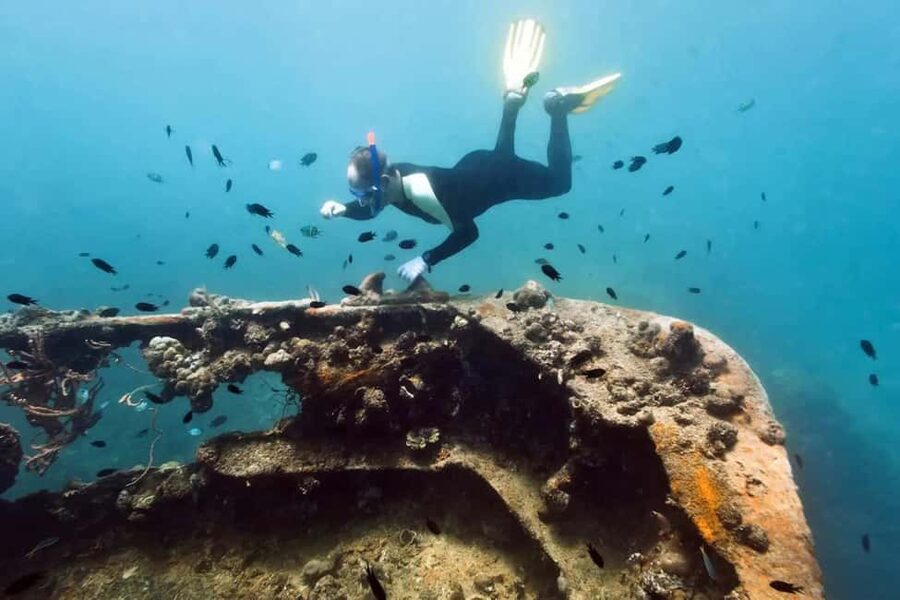 Coron: Reefs and Wrecks Tour with Snorkeling Equipment - Lusong Coral Garden: the easiest place to enjoy the sea