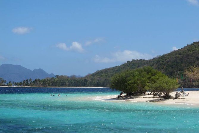 Coron Reefs & Wreck Tour (Shared Tour) - Why Coron’s wrecks make this tour worthwhile