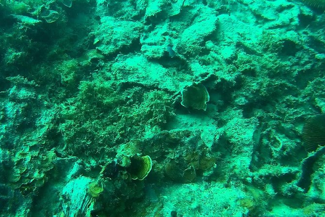 Coron Reefs & Wreck Tour (Shared Tour) - The morning start and ride from Coron