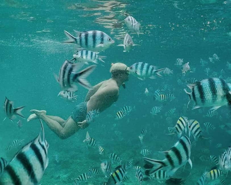 Coron: Super Ultimate 7 Destination with Lunch & Transfer - Twin Lagoon and the limestone cliffs