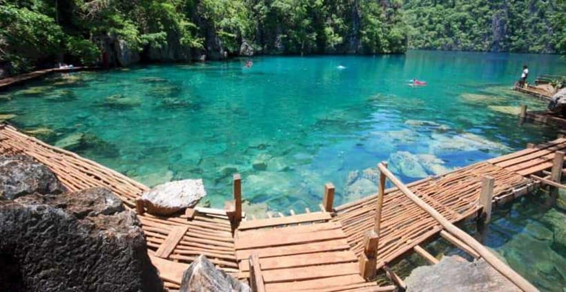 Coron | Super Ultimate Tour - Barracuda Lake and the freshwater contrast