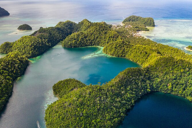 Coron Ultimate Tour - Full Day Group Tour w/ Lunch - Twin Lagoon and the warm-cold water change