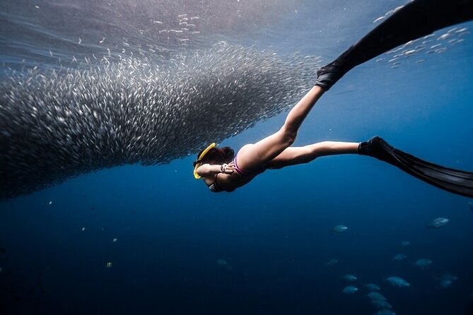 Discover Freediving One Amazing Day - Key points to know before booking