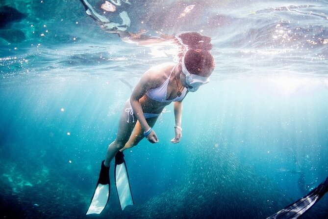 Discover Freediving One Amazing Day - The ocean session brings the lessons to life