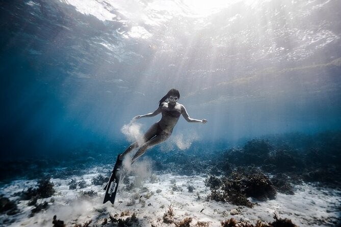 Discover Freediving One Amazing Day - Personal coaching is the strongest practical feature