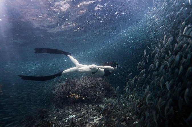Discover Freediving One Amazing Day - What to bring and how to prepare
