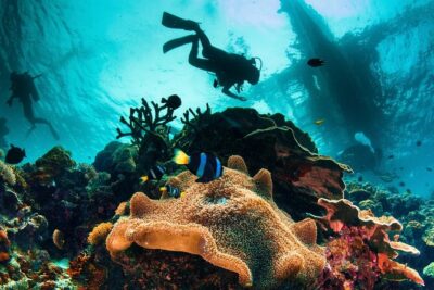 Discover Scuba Diving