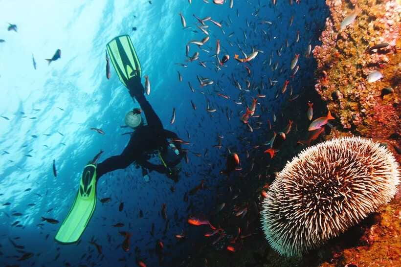 Discover Scuba Diving in Boracay - What the equipment and facilities mean for you