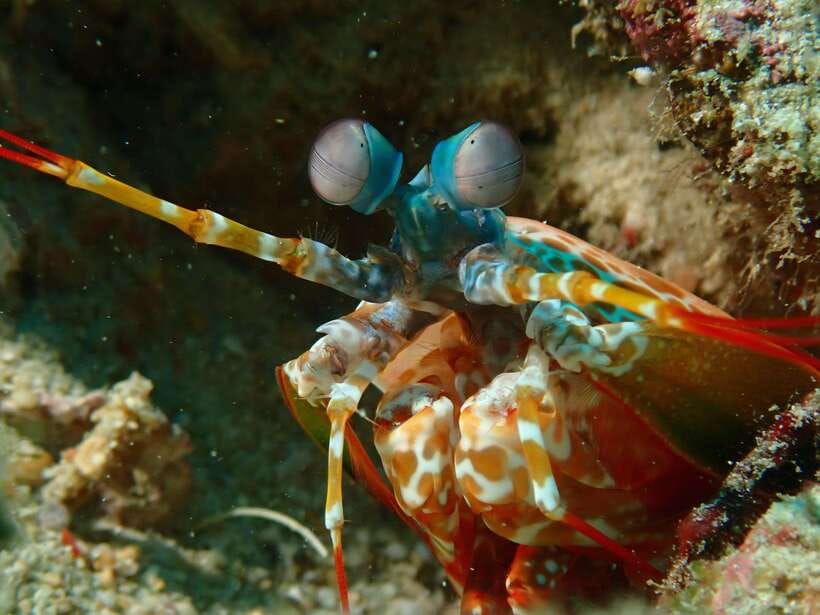 Discover Scuba Diving in Boracay - Timing, weather, and planning your day
