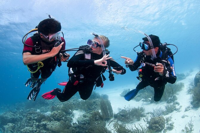 Discover Scuba Diving in Boracay with U/W Photo and Video - Learning the equipment before entering open water