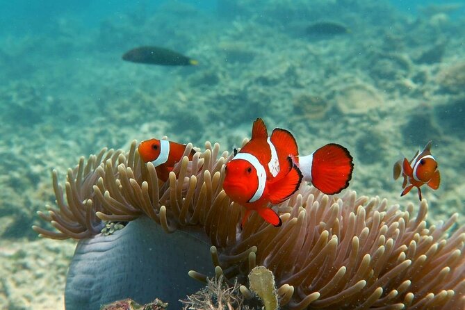 Discover Scuba diving in El Nido - What the $145 price includes