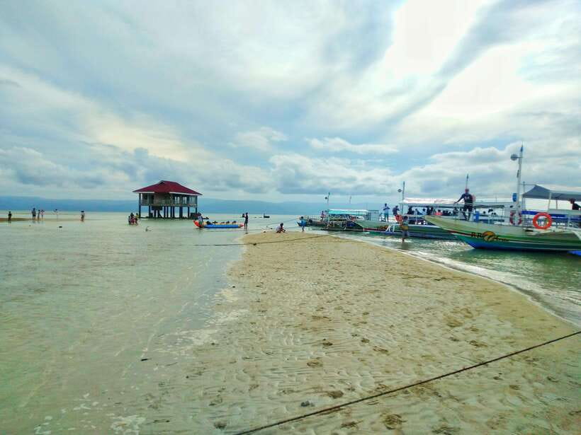 Dumaguete: Dolphin Watching & Manjuyod Sandbar Private Tour - What to pack and how to prepare