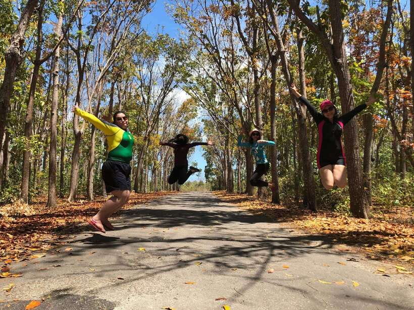 Dumaguete: Siquijor Island & Cambugahay Falls Private Tour - The enormous Balete Tree and Siquijor folklore