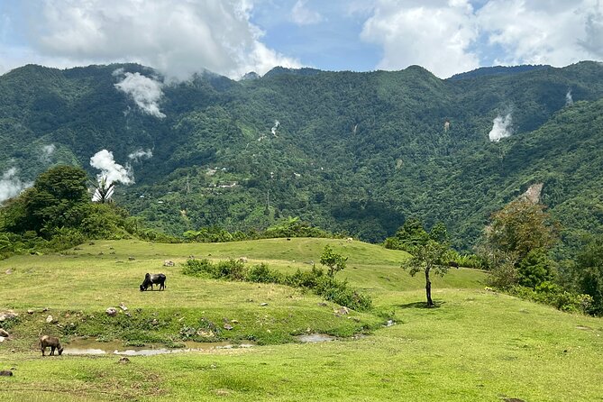 Dumaguete Tours in English - A private day in the mountains above Dumaguete