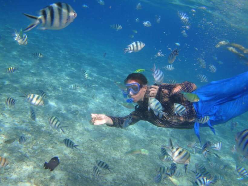 El Nido: Island Hopping Tour A Lagoons and Beaches - Snorkeling: scenic water, uneven conditions