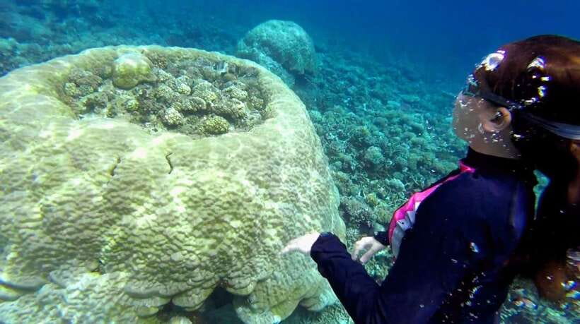 El Nido: Island Hopping Tour B Cudognong Cave & More - Why Tour B is a good change from El Nido’s busiest routes