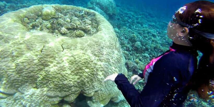 El Nido: Island Hopping Tour B Cudognong Cave & More - What the $25 price really covers