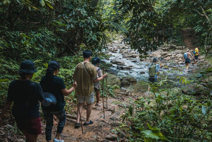 El Nido: Jeepney Adventure Tour with Lunch - A farm lunch with Filipino food and no cutlery