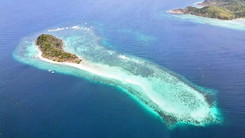 El Nido: Manta Ray Diving Experience in Sibaltan - A one-hour brunch between sessions