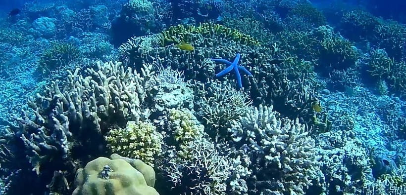El Nido, Sibaltan: Private Snorkeling & Secret Islands Tour - Should you book it?