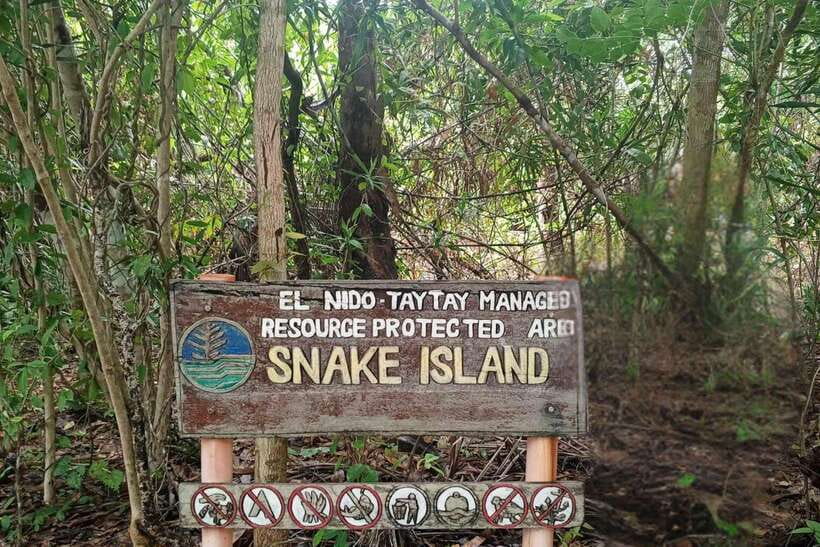 El Nido: Tour B with Snake Island, Cudugnon Cave, and More - Key points at a glance