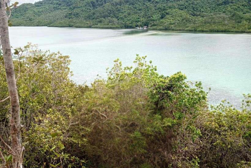 El Nido: Tour B with Snake Island, Cudugnon Cave, and More - Why Tour B works for a full day in El Nido