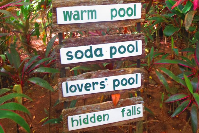 Escape to Enchanting Hidden Valley Springs! with Transfers*** - Hidden Valley Springs: pools beneath giant tropical plants