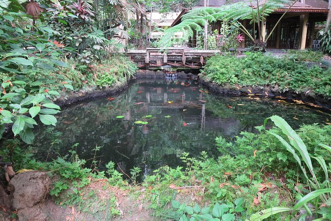 Escape to Enchanting Hidden Valley Springs! with Transfers*** - Should you book Hidden Valley Springs?