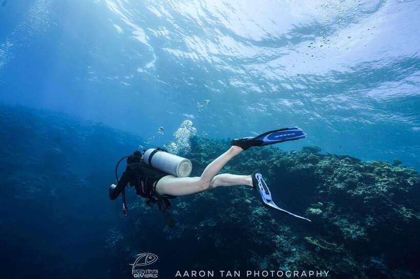 Fisheye Divers: Discover Scuba Diving - From Boracay pickup to your first underwater breaths