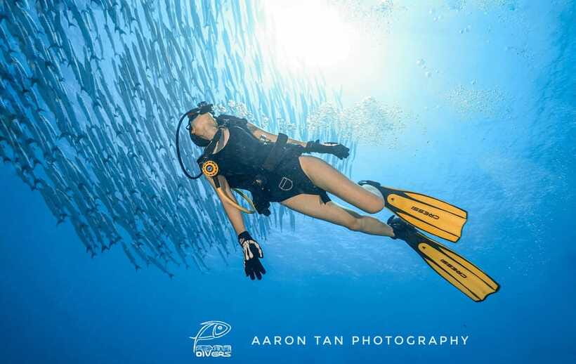 Fisheye Divers: Discover Scuba Diving - Should you book Fisheye Divers?